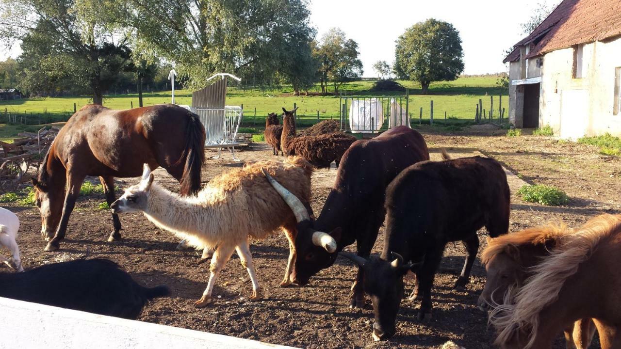 La Ferme Aux Kangourous Donzy 외부 사진